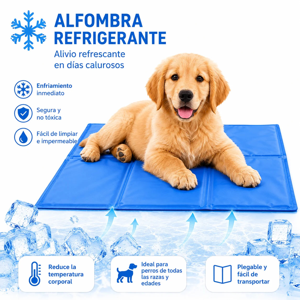 ArcticNest Mat image 2