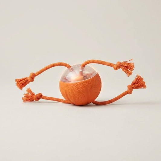 interactive rolling dog ball