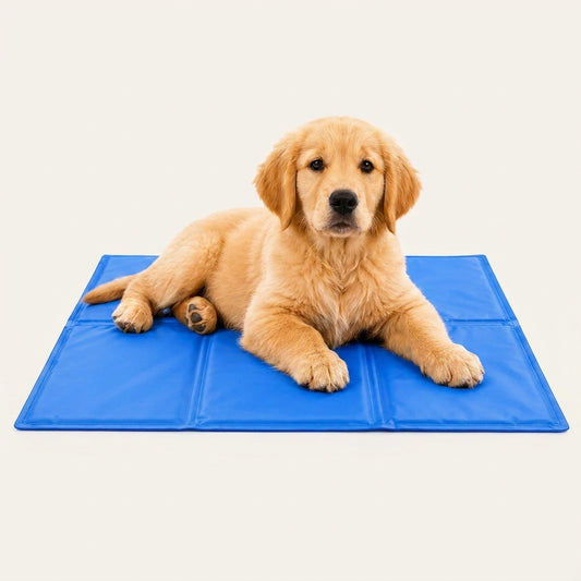 ArcticNest Mat image 1
